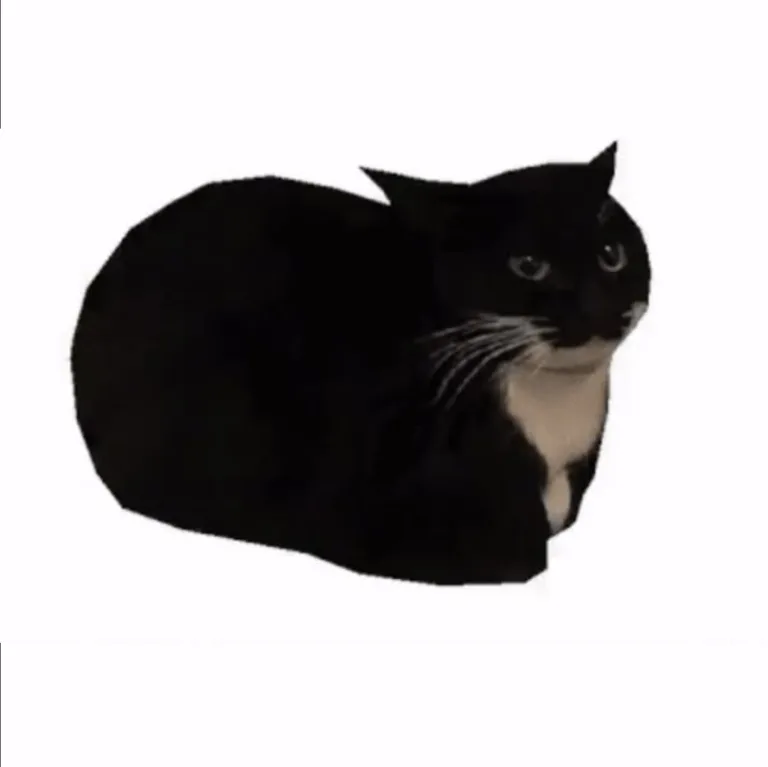 dydossa